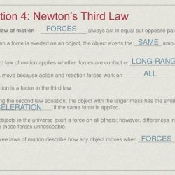 Newton's law of motion worksheet