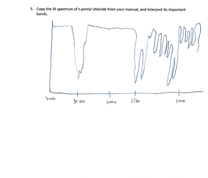 Spectrum ir pentyl tert determine answer chegg solved loading problem done been has