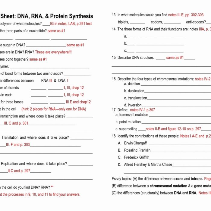 Protein synthesis worksheet answers pdf