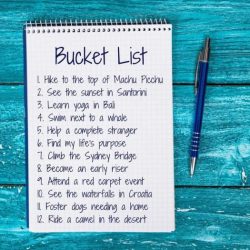 The bucket list movie questions and answers