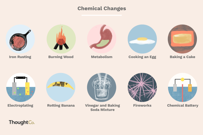 From your observations of the chemical and physical